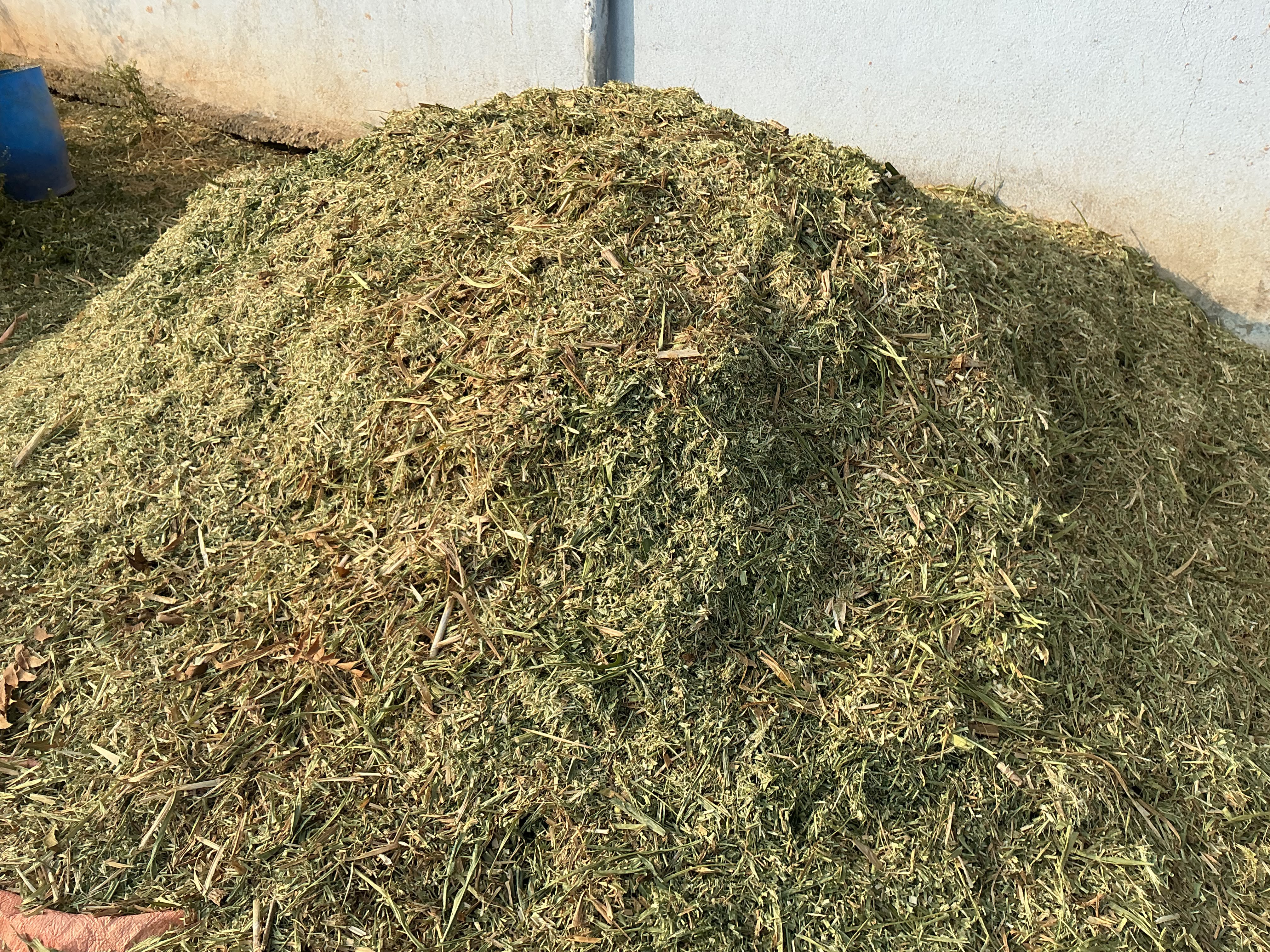 FarmVest | India’s Largest Dairy Farm Investment Platform